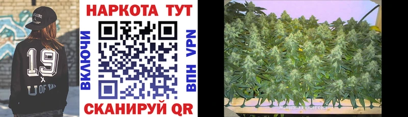 Купить закладку ГАШ  Alpha PVP  Меф мяу мяу  Cocaine  Анапа