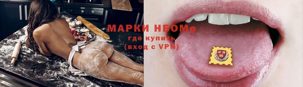 стафф Коряжма