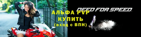 стафф Коряжма