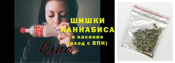 стафф Коряжма