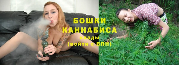 стафф Коряжма